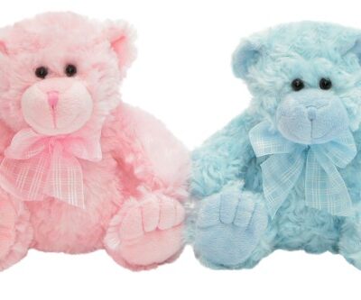 Georgie Bear Blue & Pink 35cmH
