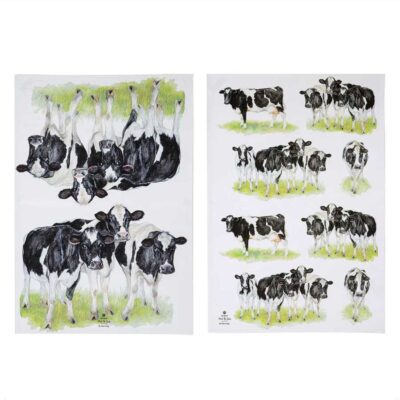 Meet The Girls 2pk Kitchen Towel